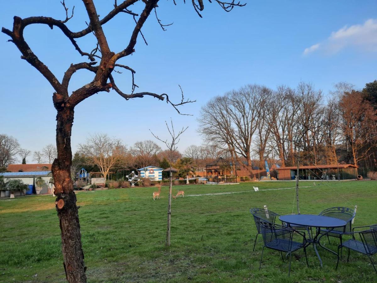 B&B Casa Roman & Vakantiewoning Voor 1 Pers Tot Max 32 Personen Zonhoven Zewnętrze zdjęcie